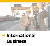 International business insights